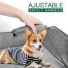 2 In 1 Dog Bathtub Dog Washing Station Foldable Pet Bath Tub for Bathing and Grooming Collapsible Portable Shower Bathtub for Small Dogs Cats Pet