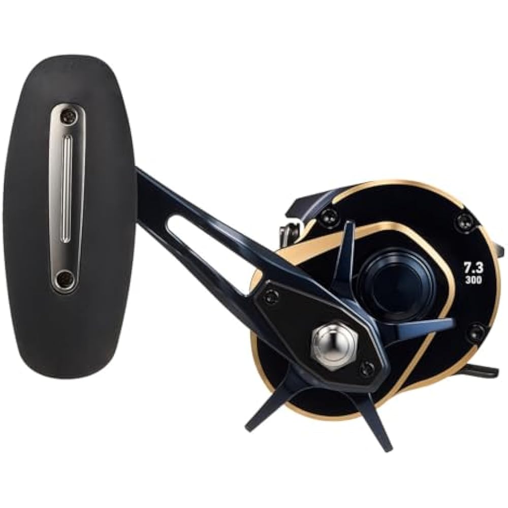 Daiwa (DAIWA) jigging bait reel SALTIGA (Saltiga) 300HL