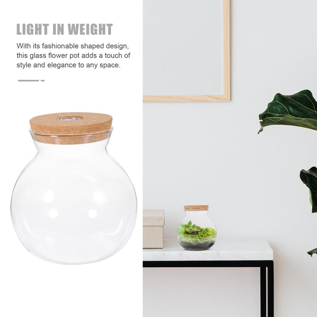 Pot met deksel Landschap Fles Micro Ambachten Doe-het-zelf Borosilicaatglas Ecologisch Mos Eenvoudige Plant Terrarium Landschapsinrichting Wit
