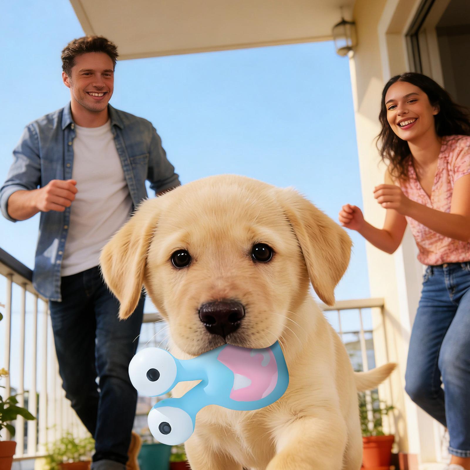 

Dog Squeak Toys Puppy Playing Supplies Puppy Teeth Cleaning Toys For Pet Parents Trainers Animal Lovers Apartment Indoor Play China Mainland