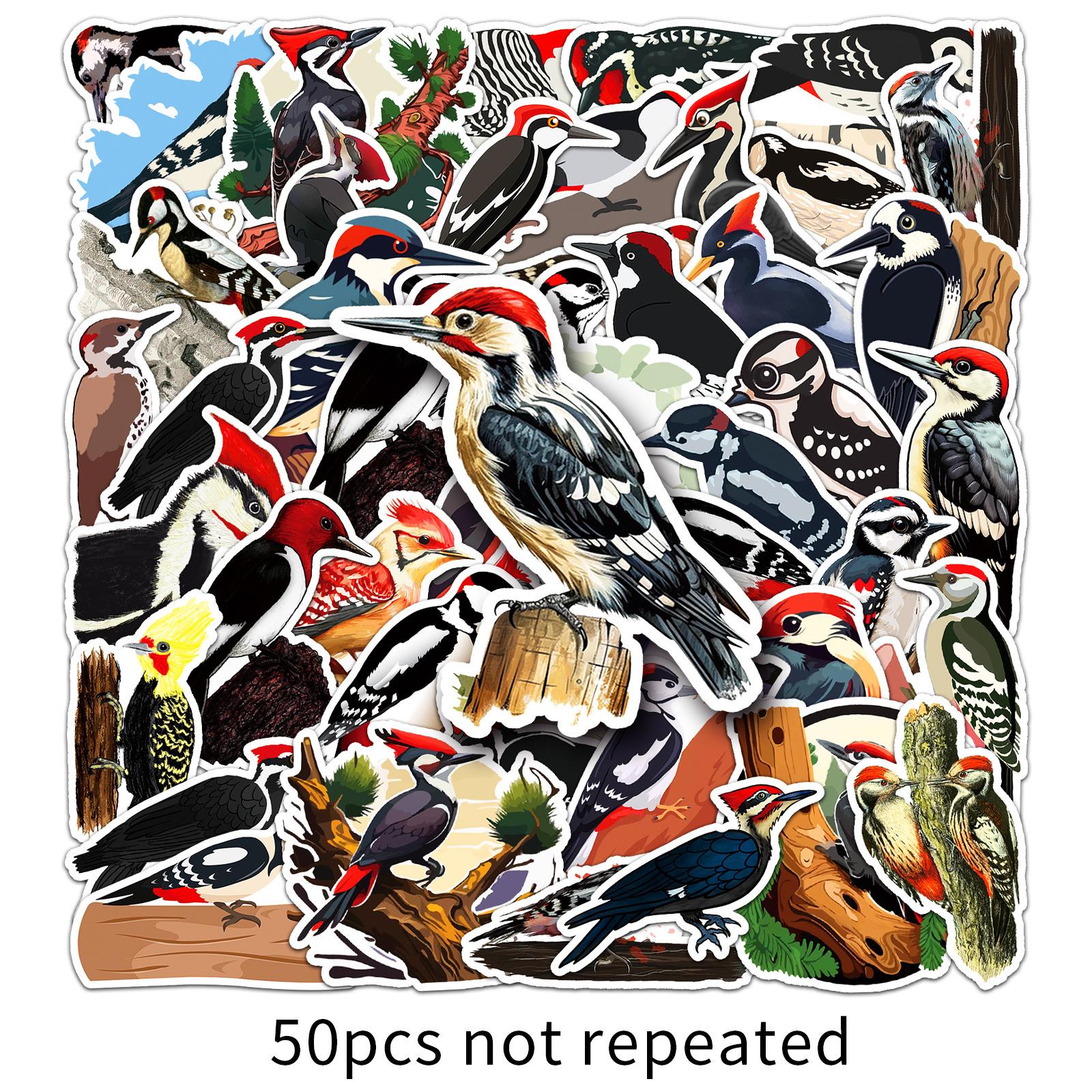 

50 Наклеек Граффити Дятел Персонализированные Мультяшные Животные Птицы Декоративные Наклейки для Водного Стакана Компьютера Чехла для Мобильного Телефона