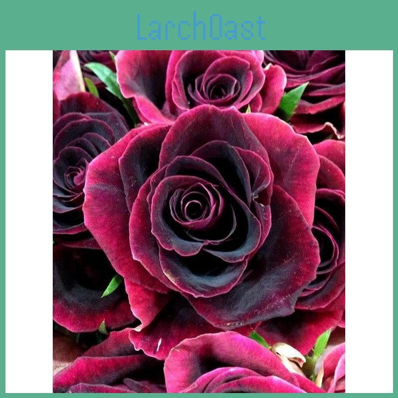 Diamond Wall Stitch Cross Painting Decoration Diamond Mosaic Diamond Embroidery Painting