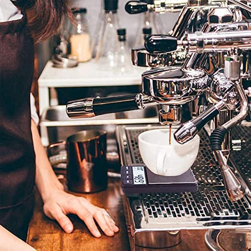 Disenkelubo Pocket Digital Electronic Precision Portable Scale for Professional Digital Weighing Digital Scale Scale, Balance, 0.1g-1000g, Top-Pan