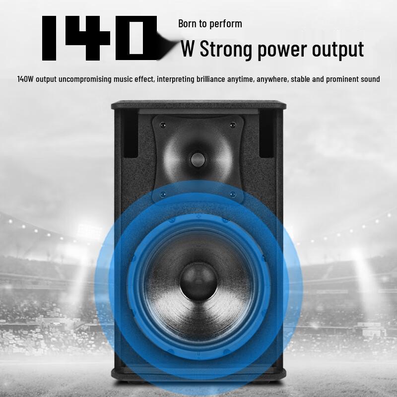 SHILE BX-110 10-inch Professional Conference Speaker