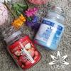 LUMIE CANDLE Korean Imported Scented Candle for Romantic Home Decor, Long-lasting, Smoke & Odor Eliminating