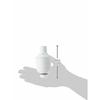 Panasonic water purifier cartridge pot type 2 pieces TK-CP12C2
