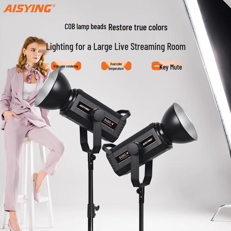 Wolfgang B300S 300W LED Continuous Photography Light