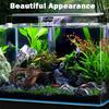 Natural Lookings Reptiles Habitat Place For Bearded Dragon Safe Hideouts Play Sunbathing Terrariums Landscape Accessory