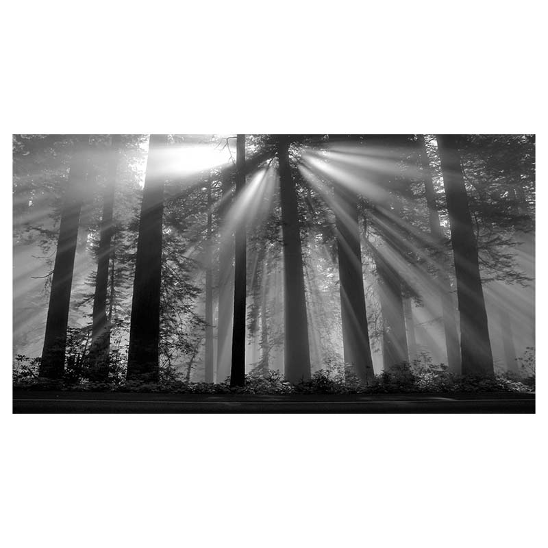 Водопад Живописный Мангровый Лес Пейзаж Холст Настенное Искусство Холст Картины Домашний — фото 14