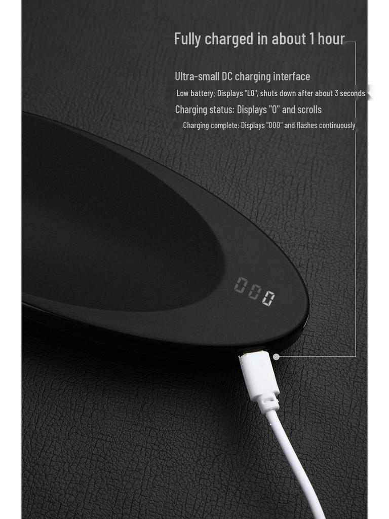 Laihui Elektronische Digitale Küchenwaage für Tee und Haushaltsgebrauch