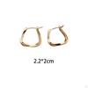 Geometric Metal Earrings Ear Studs Cute Simple Light Luxury Elegant Women Statement
