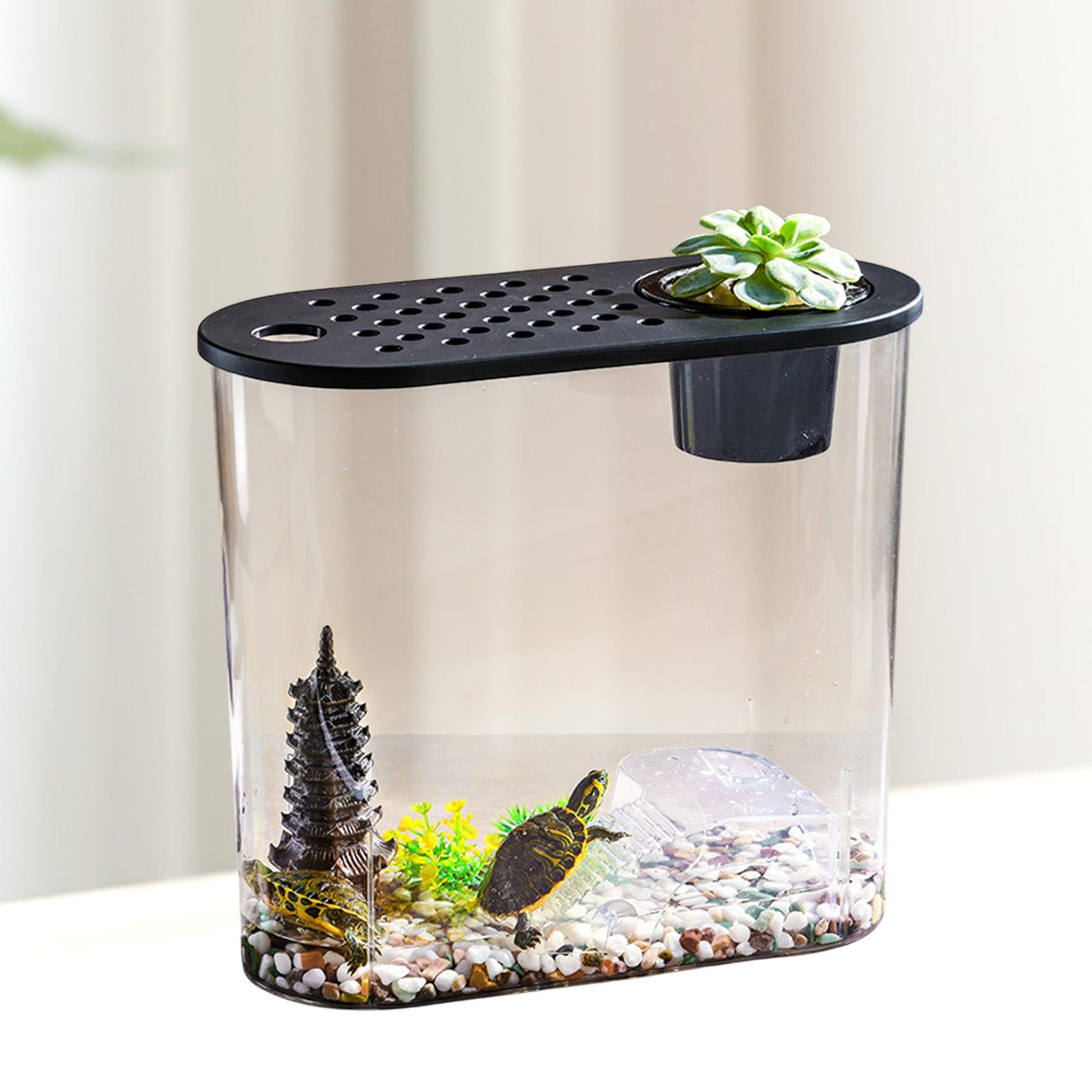 Desktop Aquarium Sturdy with Lid Mini Fish Tank for Home Living Room Lizards