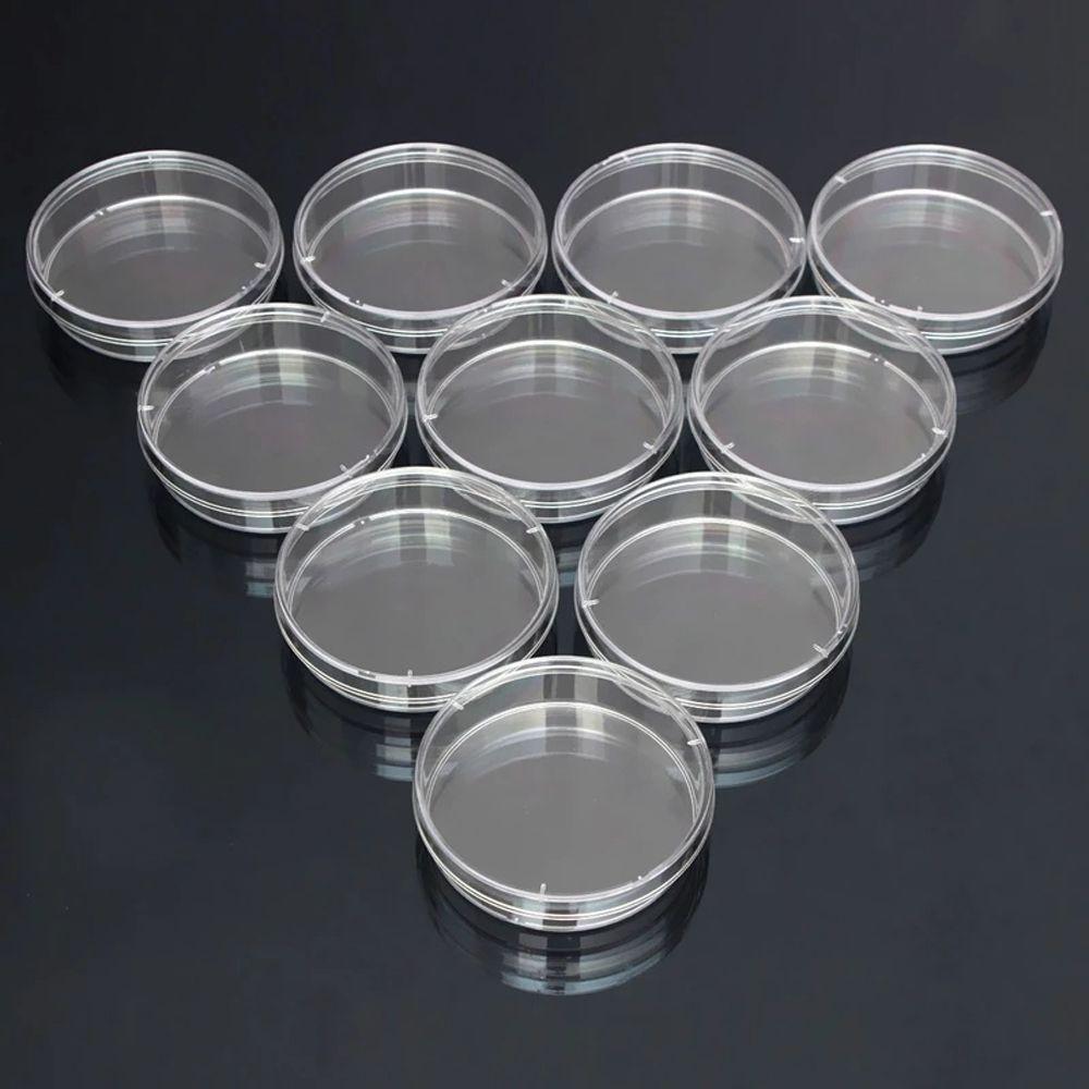 55x15mm Plastic with Lids Bacteria Culture Dish Petri Dishes Sterile Petri Dishes Clear Petri Dish