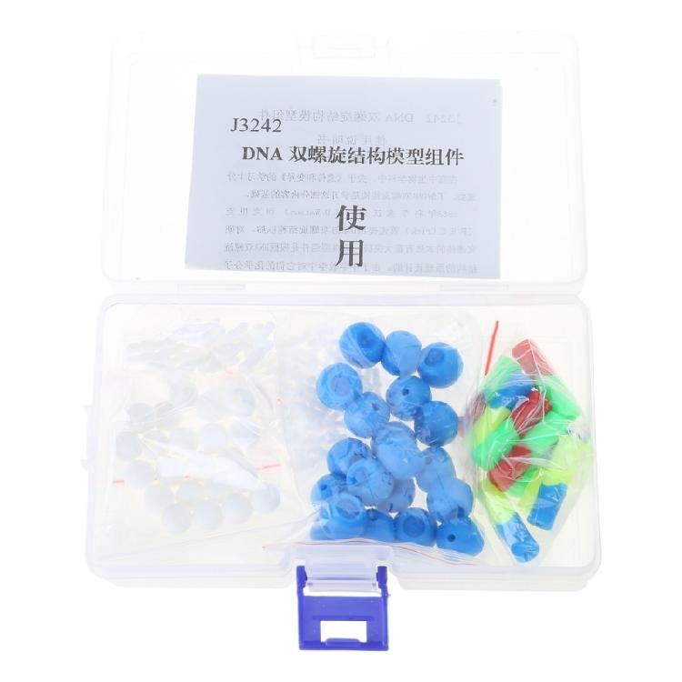 Модель двойной спирали ДНК Легкая сборка Модель структуры ДНК Модели двойной спирали ДНК Для демонстрации в классе 1