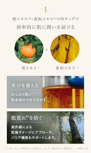 [Awarded Best Cosmetics by BITEKI magazine] N organic Basic Skincare Set (Lotion & Emulsion) (Approx. 2 months' supply) Moisturizing power, firmness,