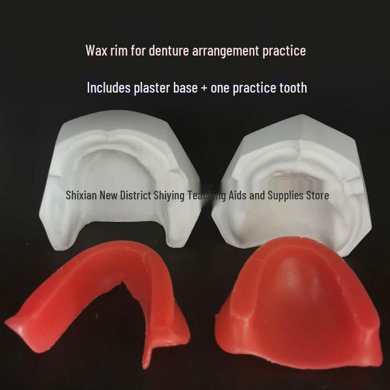 Dental Edentulous Wax Rim Model - Student Practice Denture Base