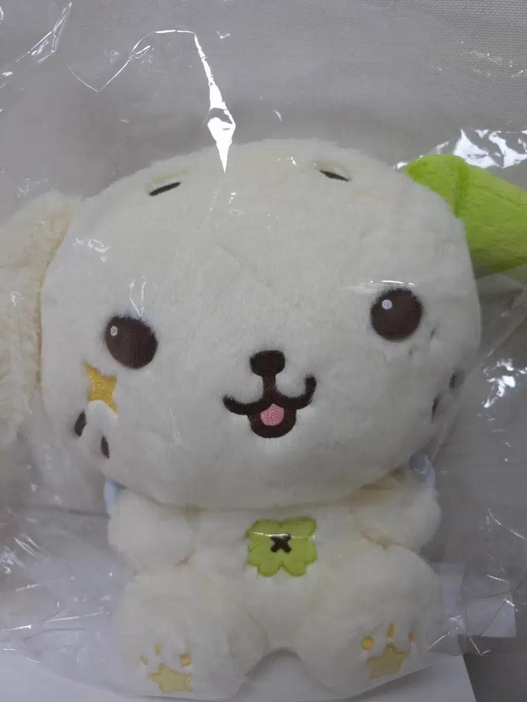 Wish Doll 30cm Lun unopened