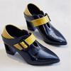 Women's Shoes 2024 Hot Sale Belt Buckle Women's High Heels Fashion Color Matching Office and Career New Pointed Toe Heels Women