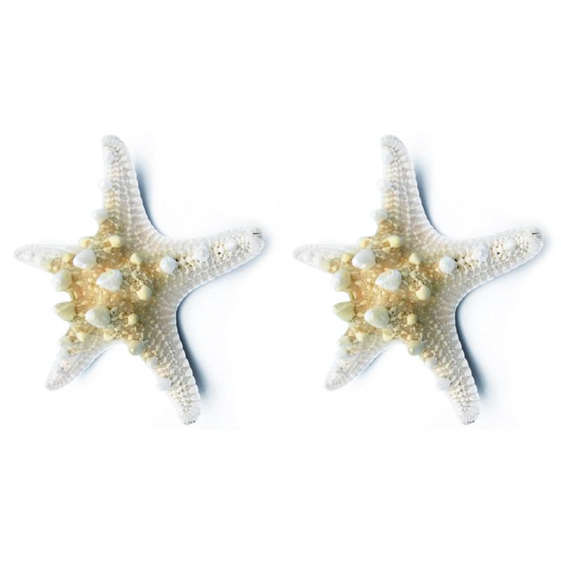 100pcs Mini Cute Small Mini Starfish Sea Star Shell Beach Home Decor DIY Craft
