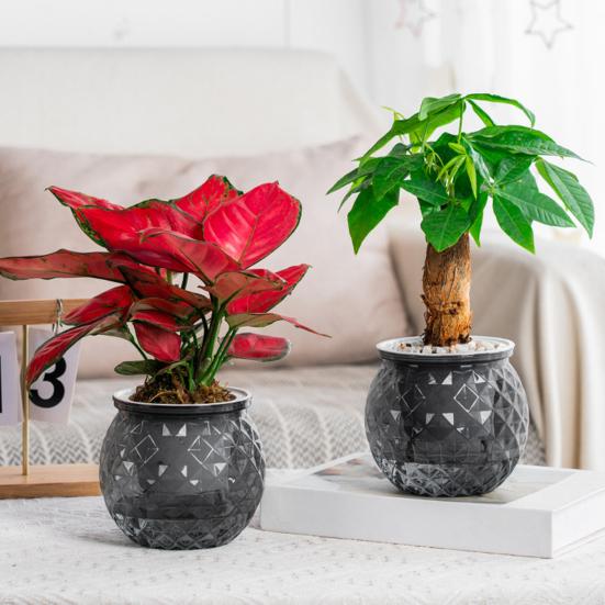 Self Watering Flowerpot with Transparent Bottle And Water Level View Self-Absorbing Cotton Rope Planter Double-Layer Flower Pot for Indoor Plants And