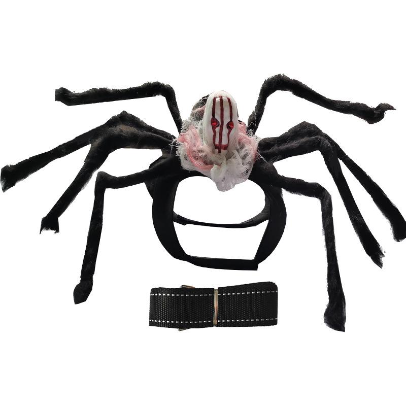 Spider and Skull Costume for Small to Medium Pets