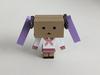 Lucky Star Tsukasa Kagami Danbo & Ver.