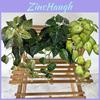 Artificial Silk Caladium Leaf Wall Hanging Vine Plant For Home Decor Wedding Props