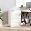 VidaXL Cabinets with 2 Drawers 2pcs White 60x31x40cm Engineered Wood, Storage Cabinet, Sideboard, Buffet Cabinet, 858822
