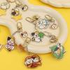 Bimaipet Standard Acrylic Keyring (8 Types)