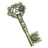 Key Charms Multi Color Alloy Key Tools Pendants For Gothic Themed Jewelry