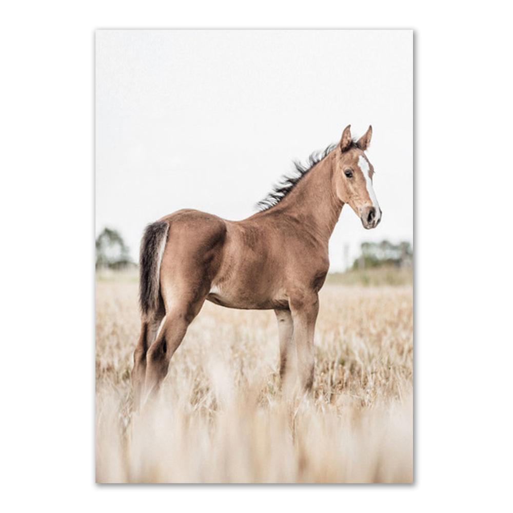 

Сушеная трава, настенная живопись на холсте, настенный постер и принт, цветок тростника, пшеницы, одуванчика, лошади, настенные панно для декора гостиной 21x30cm No Frame