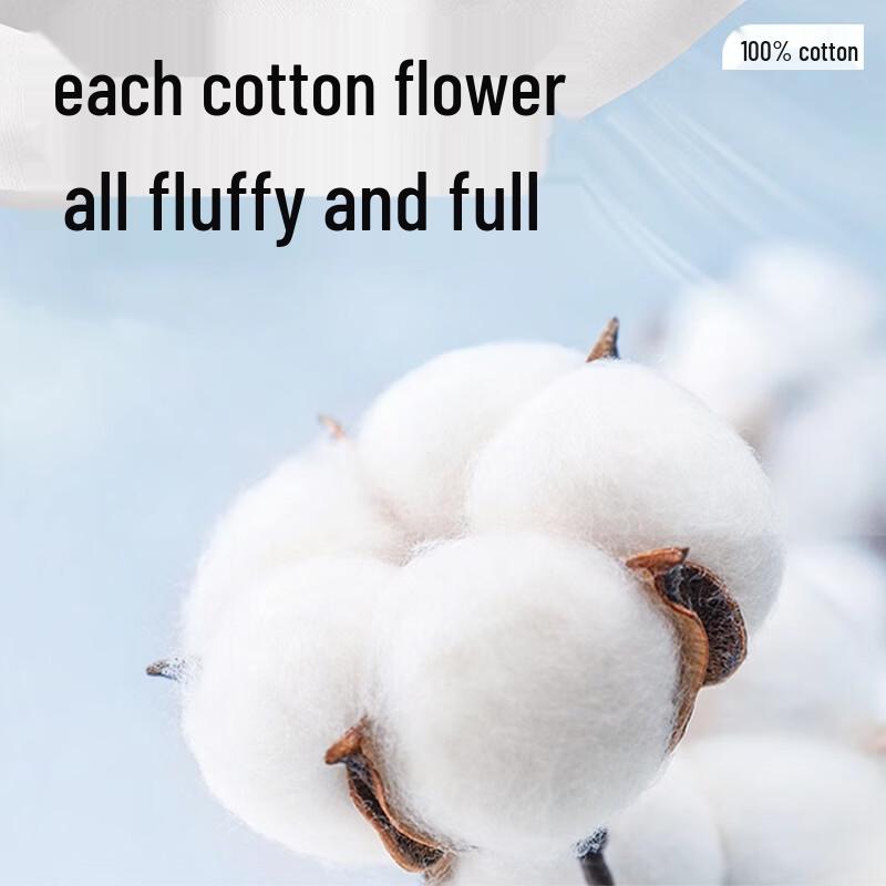 Mark Fairwhale Men's Pure Cotton Round Neck Long Sleeve T-Shirt