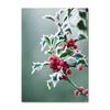 Poster Decorazione Pallina Albero di Natale Agrifoglio Ghiacciato Furgone Invernale Pittura su Tela Stampe Fiocchi di Neve Decorativo Casa Stanza Immagine