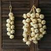 Artificial Fake Decorative Fruit Lifelike Foam Dish Onion Garlic Corn Red Pepper Kitchen Decoration For Chinese Style