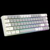 Y-FRUITFUL K701 68-Key Detachable Wired RGB Mechanical Keyboard