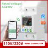 Tuya WiFi Intelligent Circuit Breaker Backlit Single Phase Energy Meter Auto Reclosing Protector with LCD Display