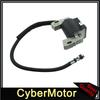 Ignition Coil For Briggs & Stratton 161430 161432 161436 161437 111902 111982 286702 286707 28B702 28B707 28C707 28D707 31G777