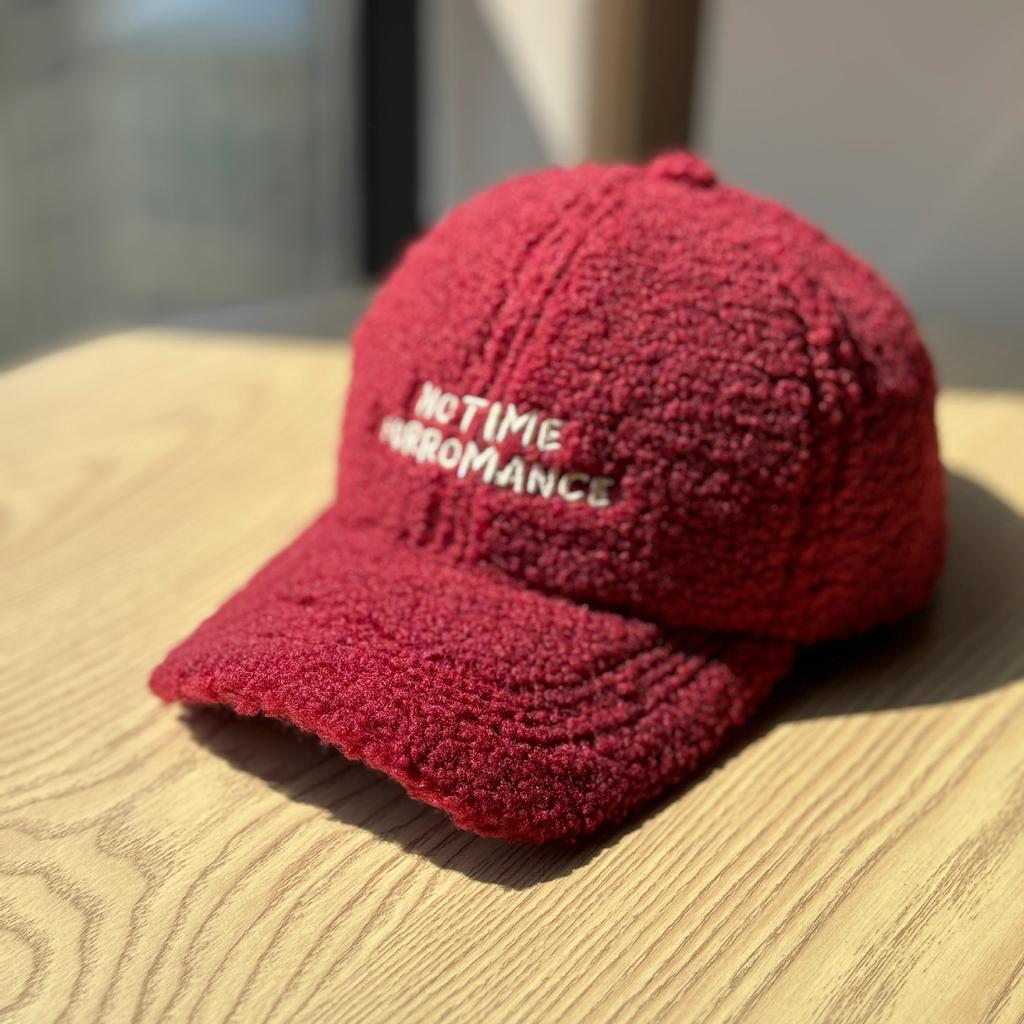 New Hat for Women in Autumn and Winter Thickened and Warm Lamb Wool Korean Version Fashion Versatile Duck Cap Student Plush Baseball
