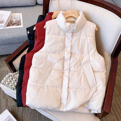 Autumn and Winter New Design Sense Niche Vest Trend Fashion Sleeveless Puffer Jacket Down Vest