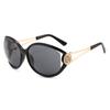 Two circles, new large frame fashion sunglasses ins wind outdoor driving UV protection sunglasses T