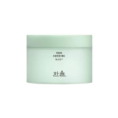 Artemisia Moisture Soothing Pads 60 Sheets 170ml