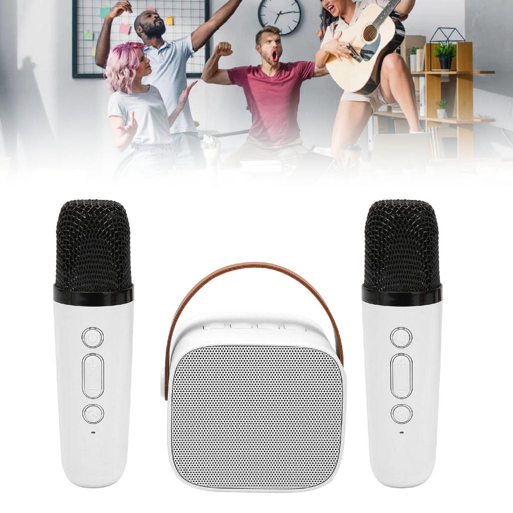 Karaoke Machine Multifunction Stereo Sound Portable   Speaker with 2 Wireless Microphones for Home Party KTV