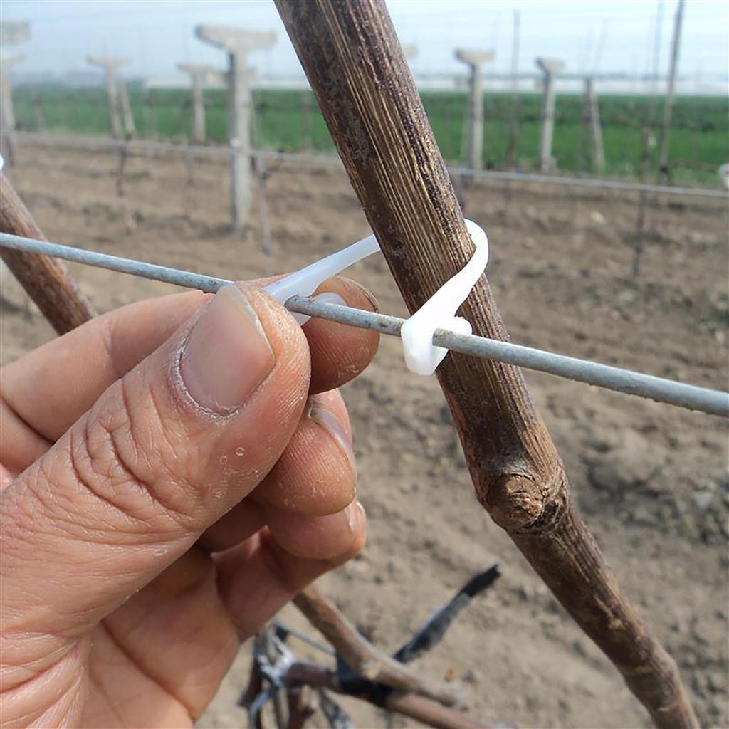 200 Pcs Garden Plant Vine Tie Buckles Farm Vegetables And Fruits Climbing Support Bundling Clips Garden Greenhouse Nursery Clips