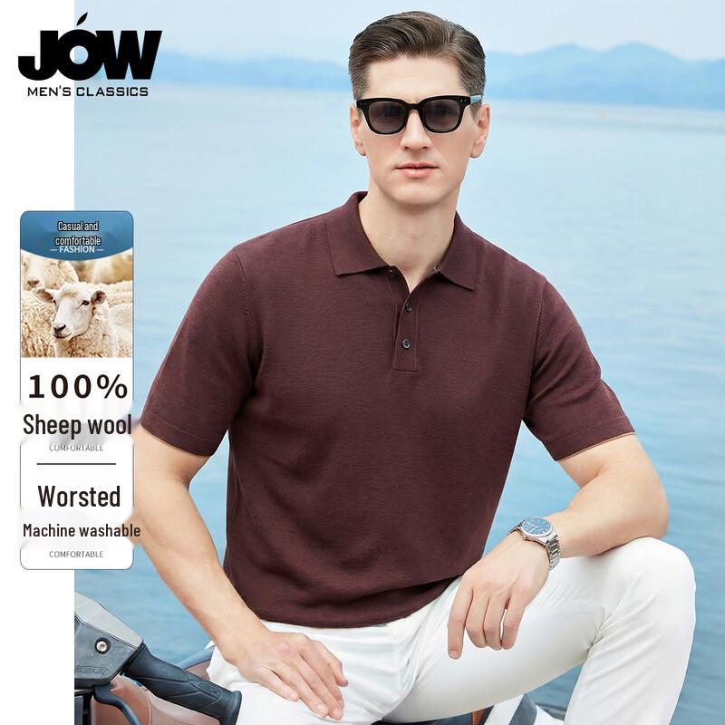 JOW Washable 100% Merino Wool Short Sleeve Knit Top