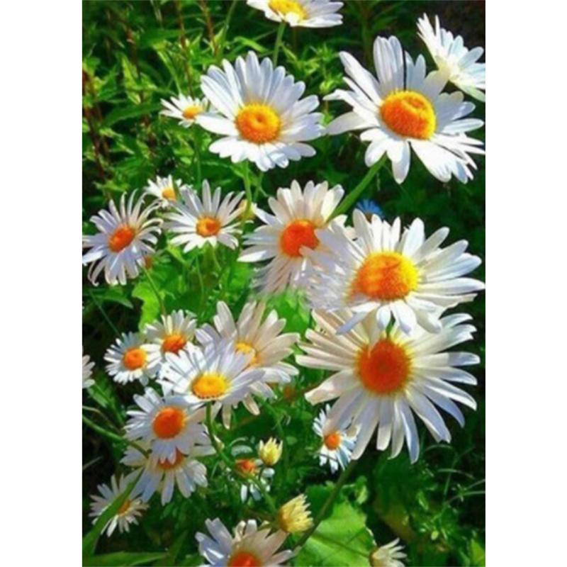 Pictură cu diamant DIY 5D, flori colorate, broderie cu diamante, kit cu punct de cruce, mozaic cu strasuri, decor pentru acasă