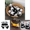 Panda Raccoon Plush Toy With Magnetic Attachment For Kids And Gifts