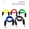 TLXT 11-Piece Full Body Resistance Band Set