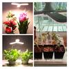 24W 36W 48W Katlanabilir LED Büyümek Işık Tam Spektrum E27 Bitki Büyüyen Işık Phytolamp Ampul Kapalı Bitkiler Için Çiçek Fide