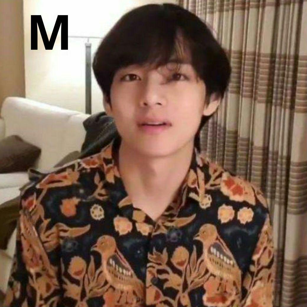 

[USED] Rare ZARA Men s Bird Print Long Sleeve Shirt, Size M, Worn by BTS V