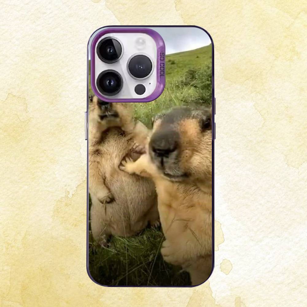 Funny Animals Case for iPhone 11 12 13 14 15 16 17 Pro Max XS X XR Cover